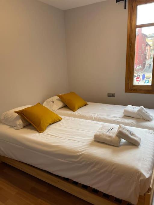El Cadi, Centrico En Puigcerda, Cerdanya. Apartment *