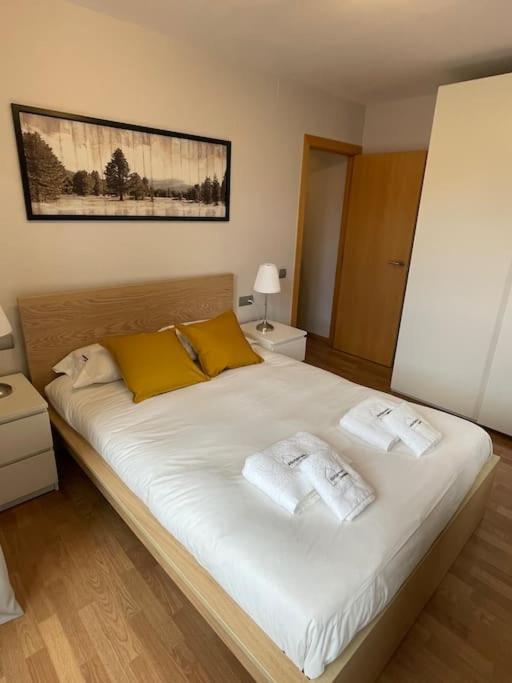 Apartment El Cadi, Centrico En Puigcerda, Cerdanya. *